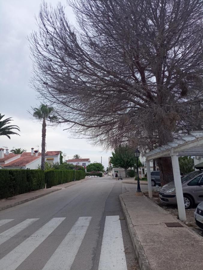 Alojamiento con Piscina y chiringuito Dénia Exterior foto