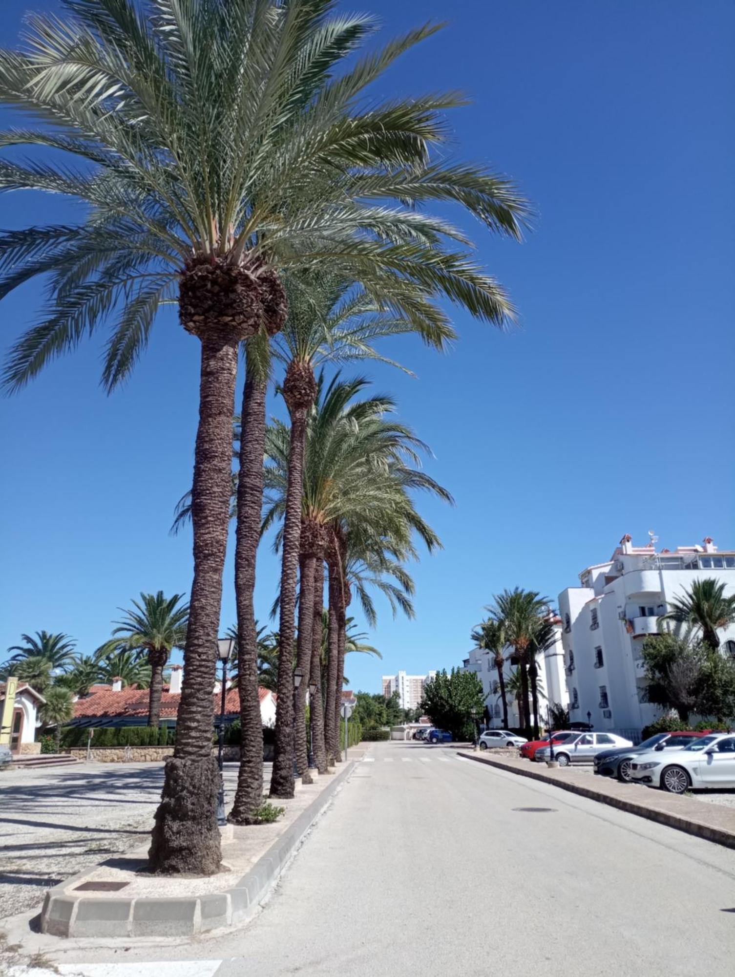 Alojamiento con Piscina y chiringuito Dénia Exterior foto